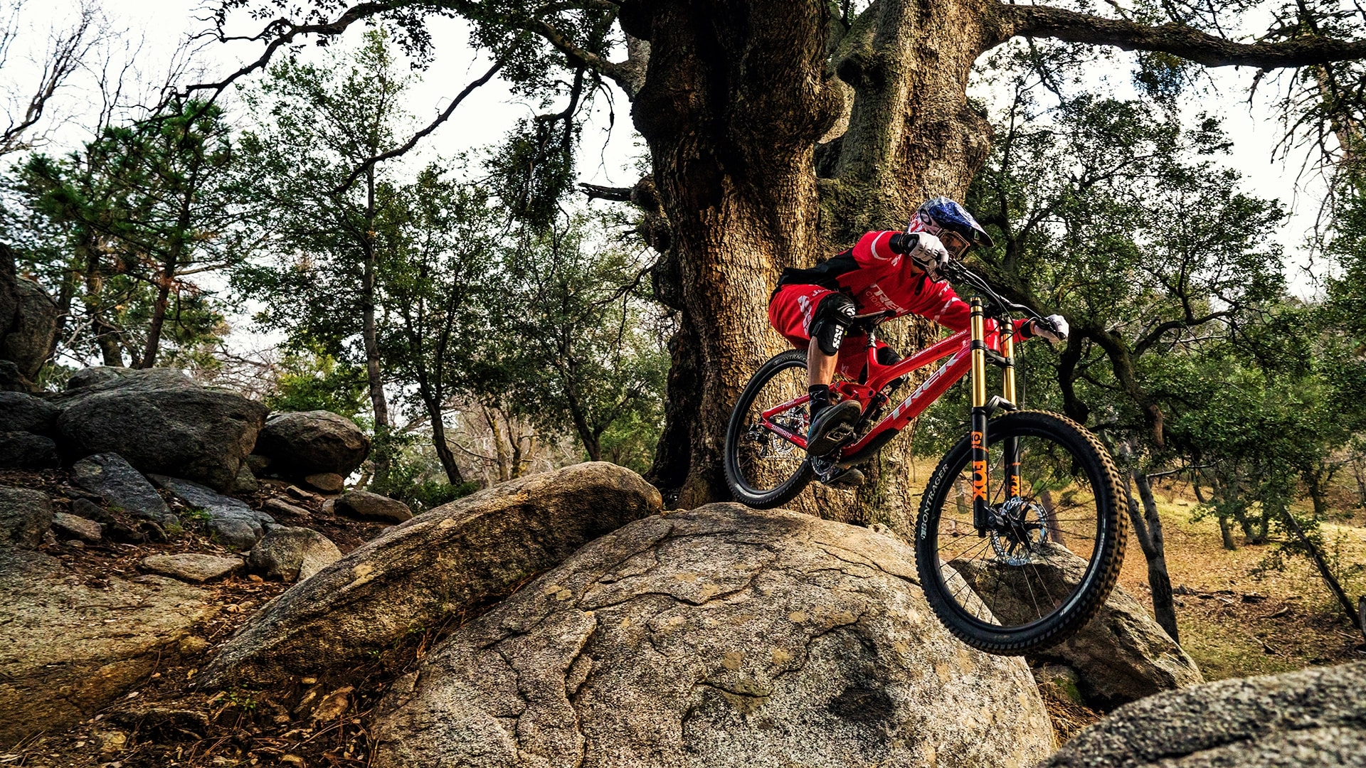 Trek hot sale session al