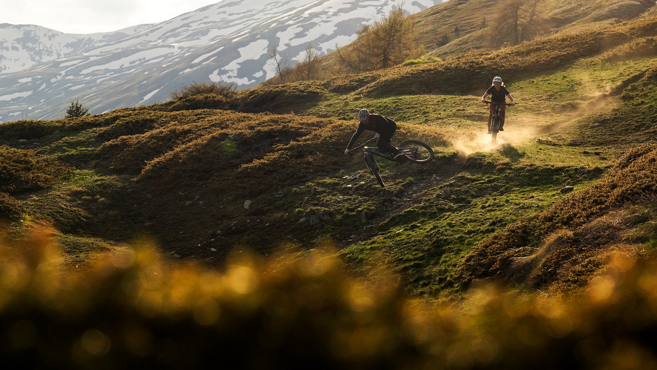 Trek dağ bisikleti ile patika inişi