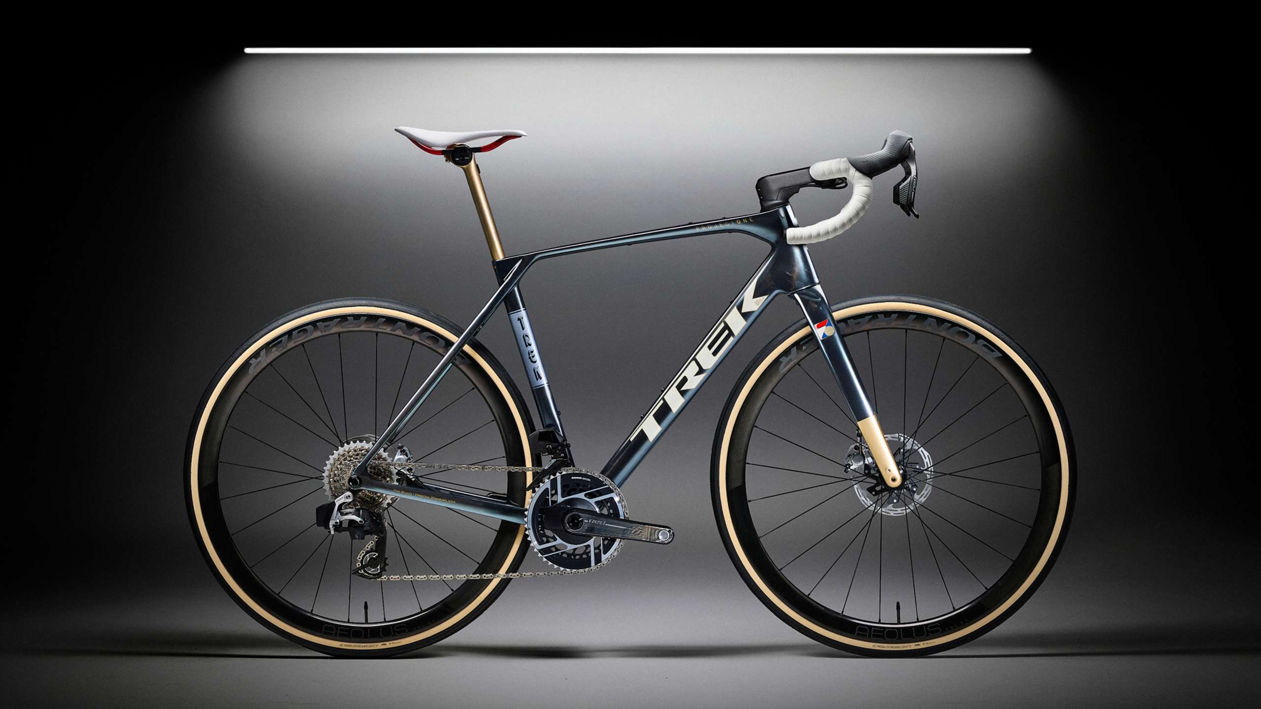 Project One ICON No. 76 Domane | Trek Bicycle