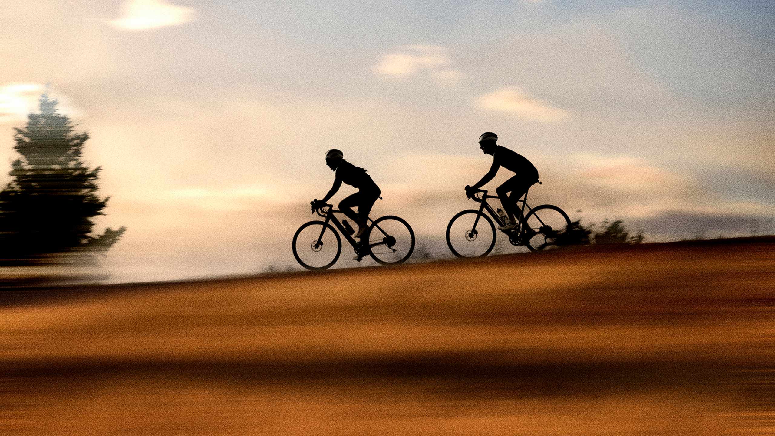 セール会場へようこそ - Trek Bikes (JP)