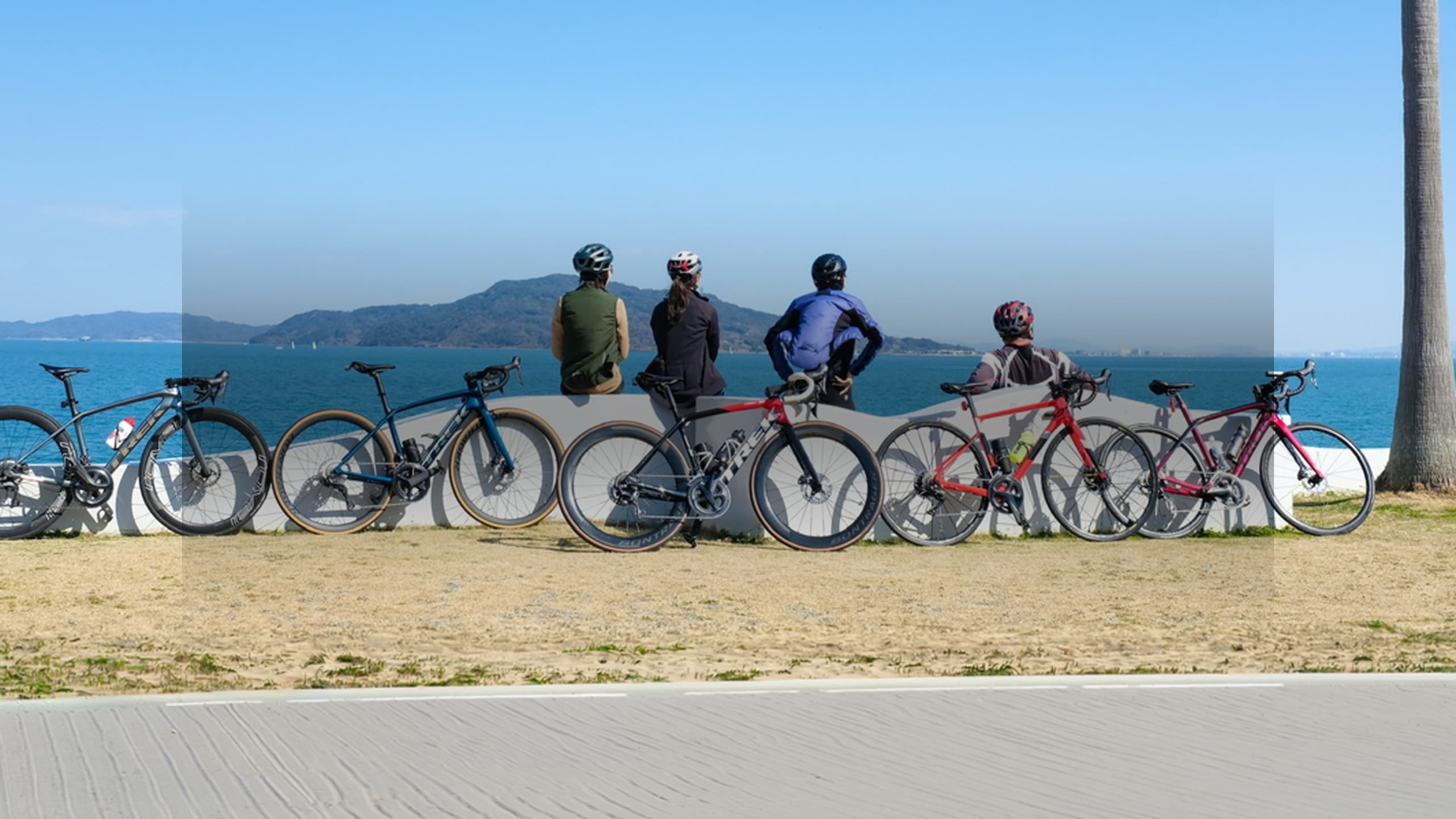 トレック公式オンラインストア｜30日間返品保証 - Trek Bikes (JP)