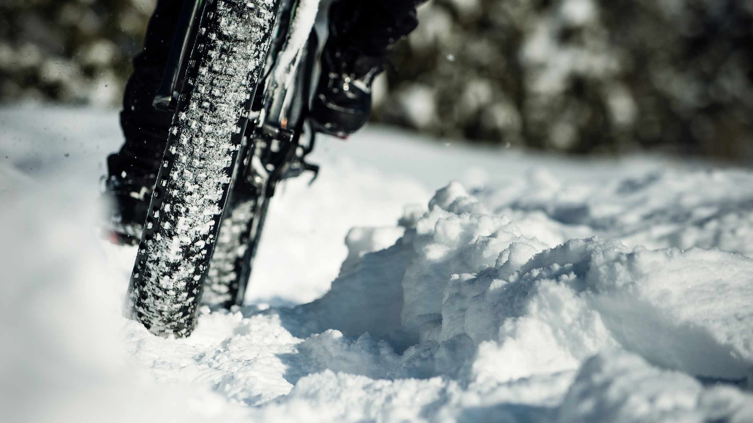 Fat Bikes Collection for Snow & Sand | Fat Tire Bikes - Trek Bikes