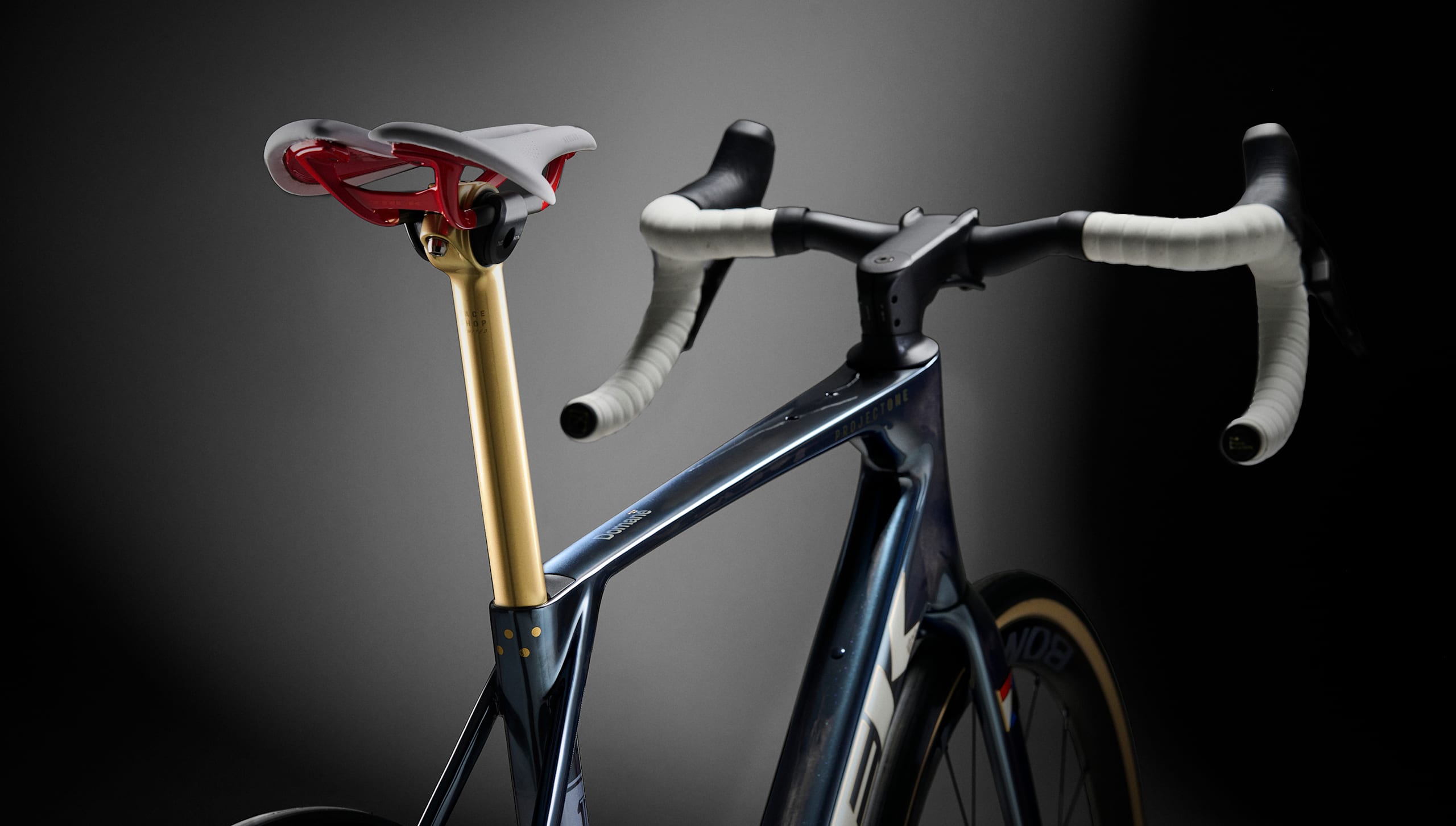 Project One ICON No. 76 Domane | Trek Bicycle