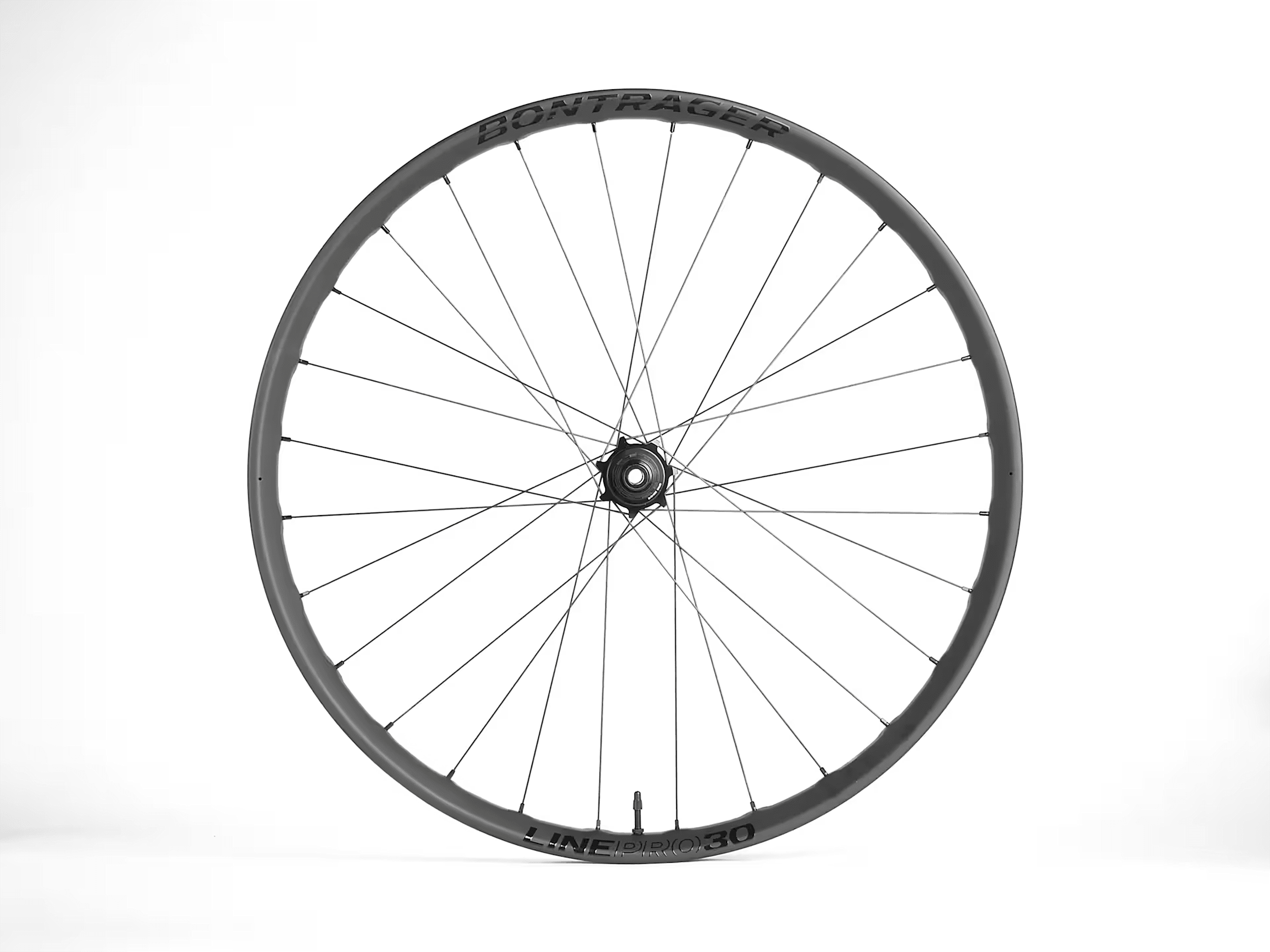 ボントレガー Connection 29˝ Schrader 6-Bolt ディスク MTB ホイール