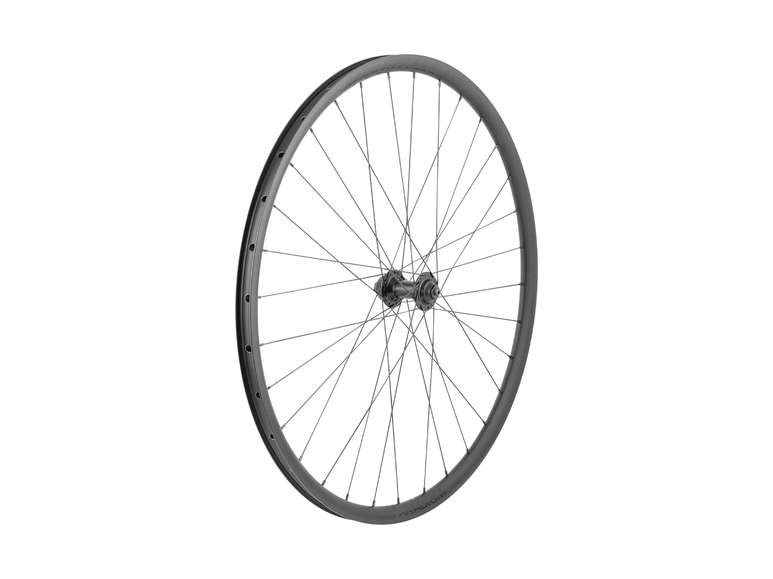 Bontrager Paradigm SL 6-Bolt Disc 24H 700c Road Wheel - Trek Bikes