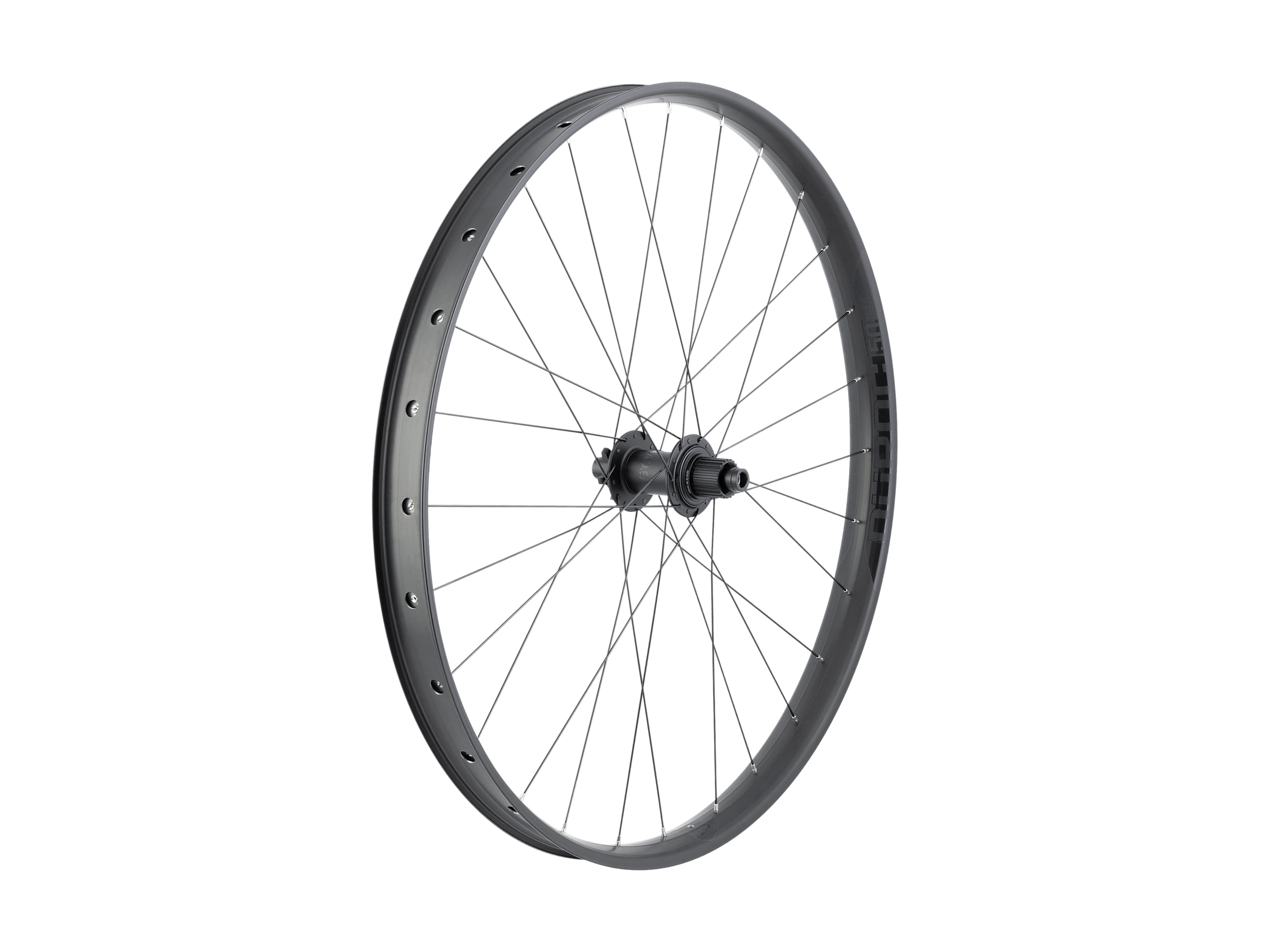 Bontrager Line Comp 30 TLR 29˝ MTB Wheel - Trek Bikes