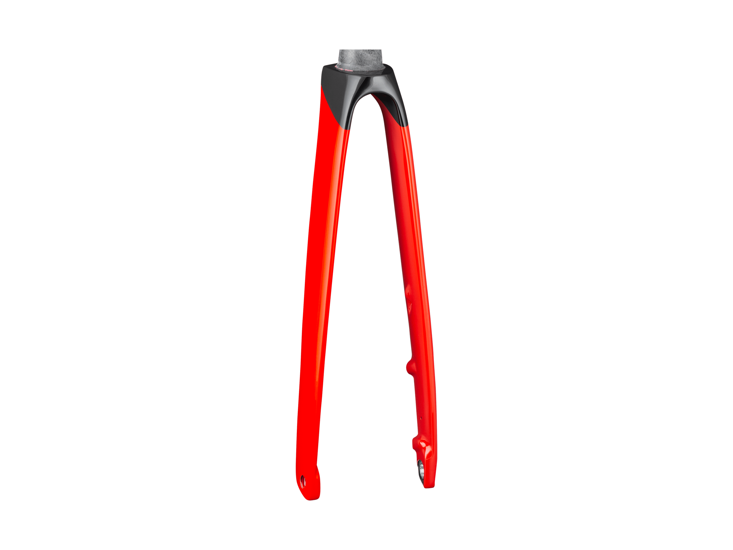 Trek Domane SLR Gen 4 700c Rigid Fork - Trek Bikes