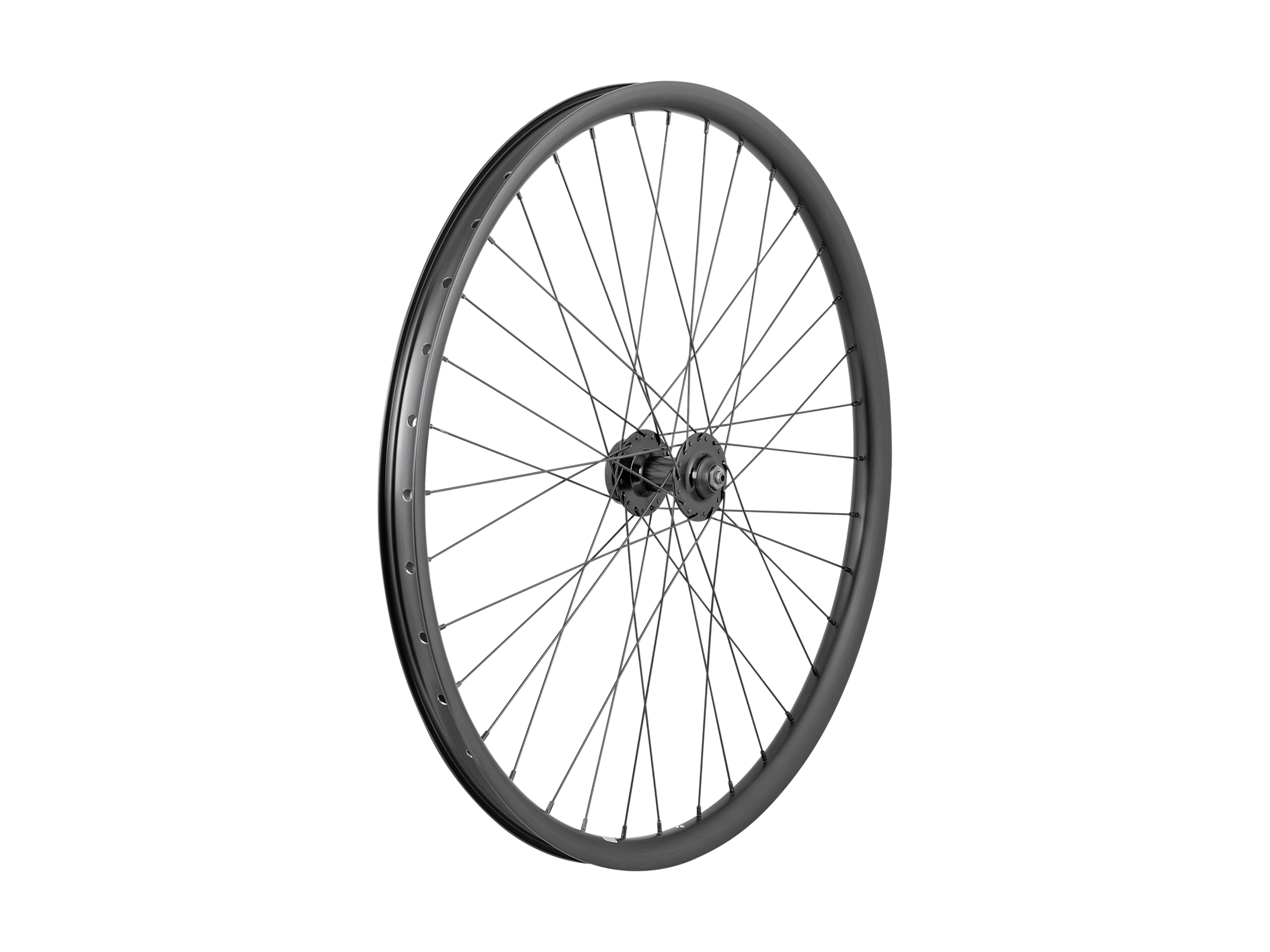 Trek Alex DP23 Centerlock Nexus 7-Speed 700c Wheel - Trek Bikes