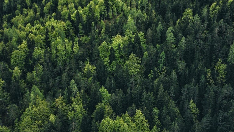 Better products for a better planet